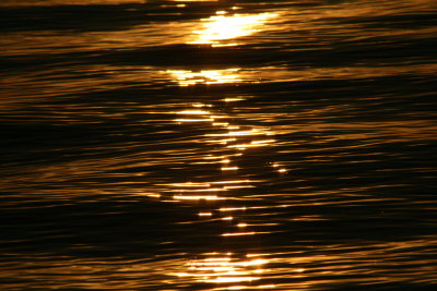 Reflections of a summer sunset