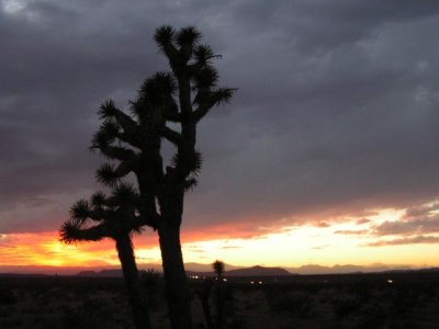 More desert sunset
