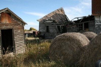 Old farm sheds-Treatment 1