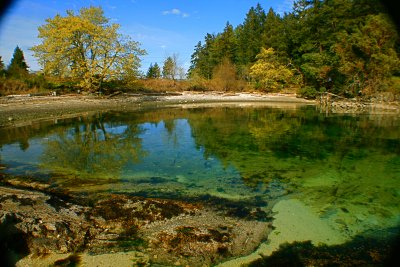 Elliott's Beach