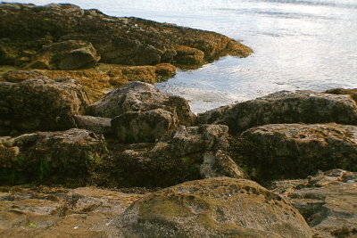 g1/74/783674/3/111757890.F16F6fDL.jpg