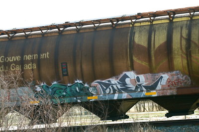 Graffitti on a train....kinda not like snakes on a plane