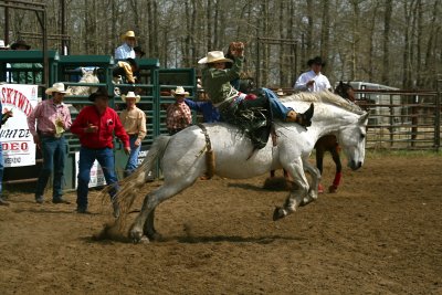 Saddle Bronc Riding
