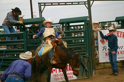 Saddle Bronc Riding