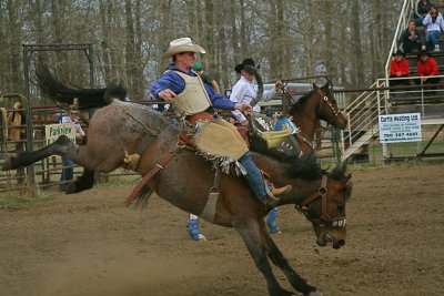 Saddle Bronc Riding