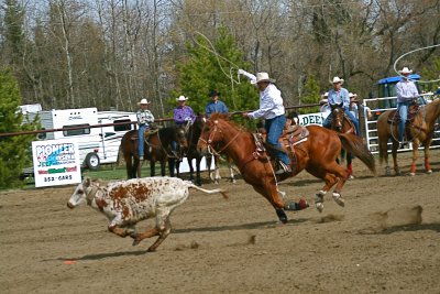 Team Roping