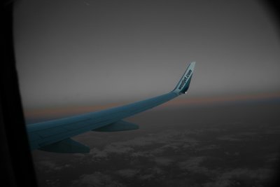 Winging into the sunset