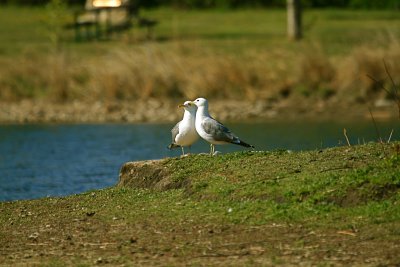 IMG_7492.JPG