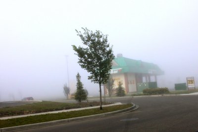Into the fog