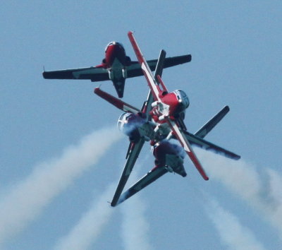 Geese,Pelicans & Snowbirds