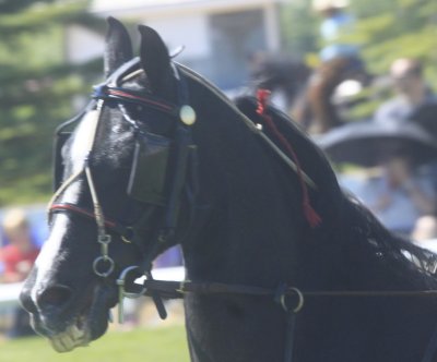 g1/74/783674/3/126916054.MEGYD2Ac.jpg