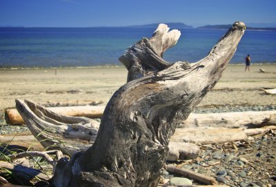 Ladysmith Aug.2010 322 - Version 2.jpg