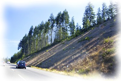 Aug.2010 473