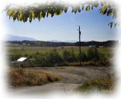  Aug.2010 601 