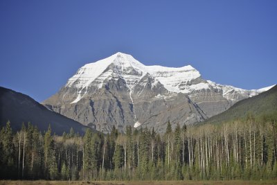 g1/74/783674/3/129668397.95khyE06.jpg