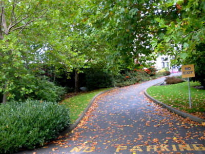 Pathway into fall