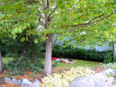Homeless sleeping in the park