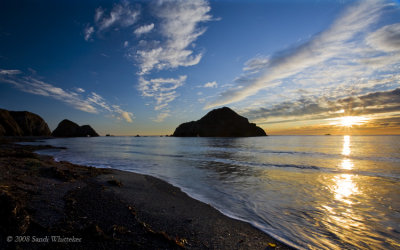Elk Cove
