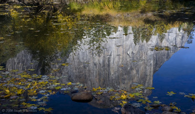 Fall Reflections