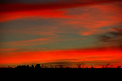 Can't Have Too Many Desert Sunset Shots, Right?