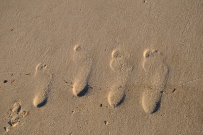 Family Feet