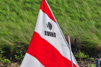 Sunfish