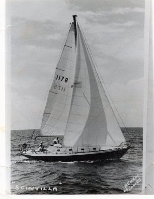 Scintilla