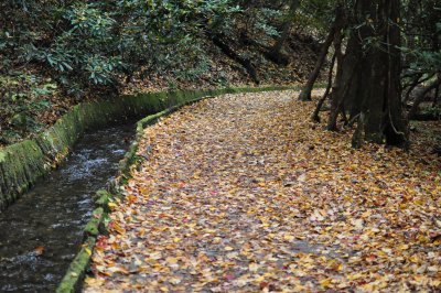Mill Path