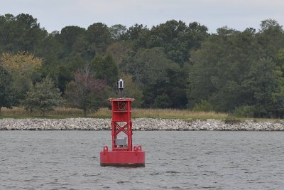 Sigma150-500at290mm.jpg