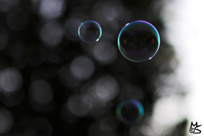 bubbletime