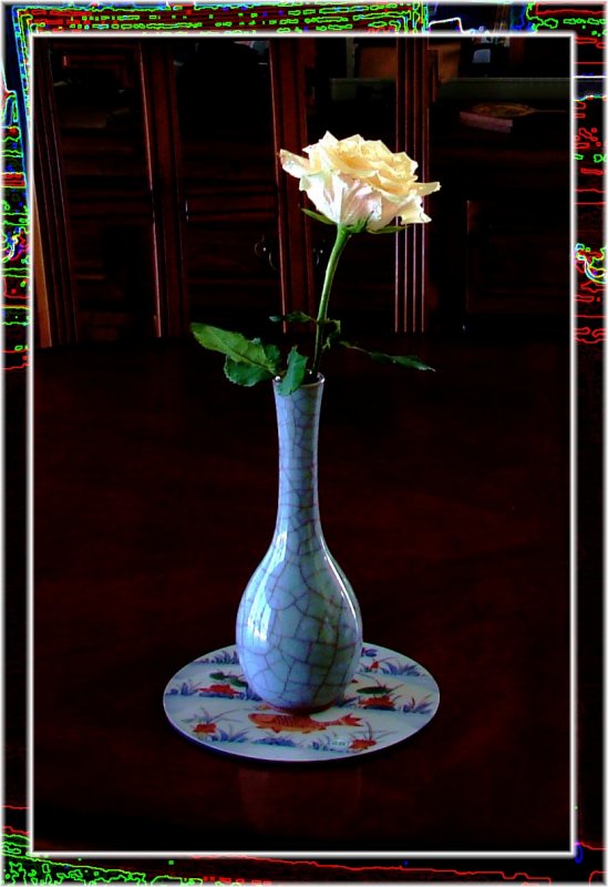 Rose 035a.jpg