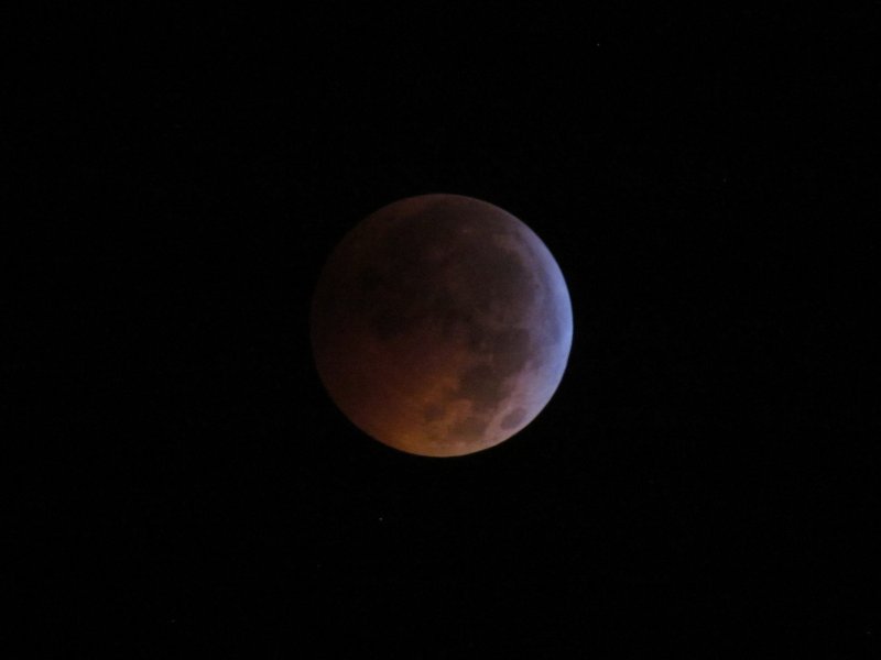 Total Lunar Eclipse 2010