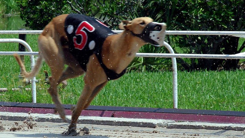 Run for Living 08.jpg