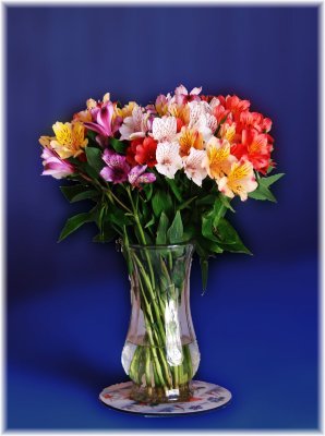 Mother's Day.jpg