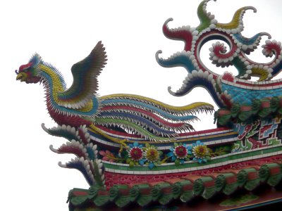 Dragon Roof, Female (2)