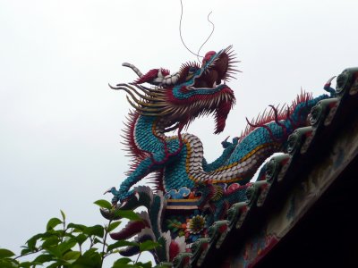 Male Dragon (1)
