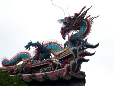 Male Dragon (3)