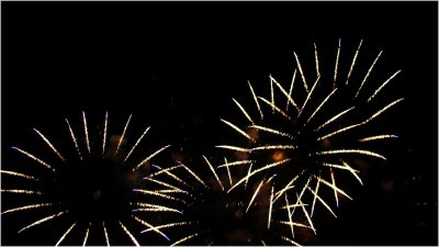 Fireework 11.jpg