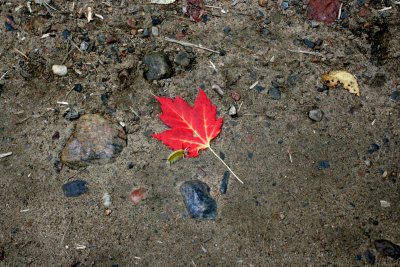 IMG_3553p.JPG