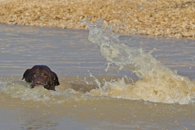 splashing around