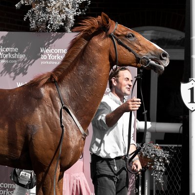 Ursus in the winners enclosure