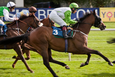 Classic contours with Shane Kelly up