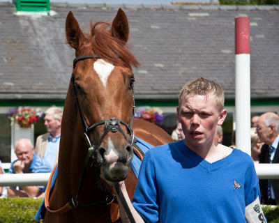 reason to believe with groom