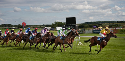 Racing again apprentice Handicap stakes over 12F