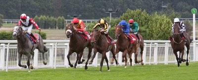 sandown-0047.jpg