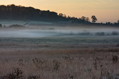 early morning mist