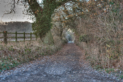country lane