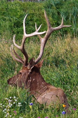 _IMG_15115crop2.jpg