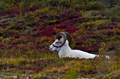 _MG_14300.jpg