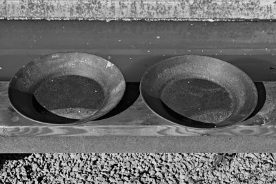 _MG_13500bw.jpg